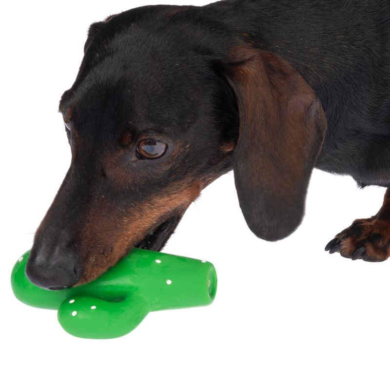 TIAKI Latex Cactus Dog Toy 11.5 x 9.5 x 3cm (L x W x H)