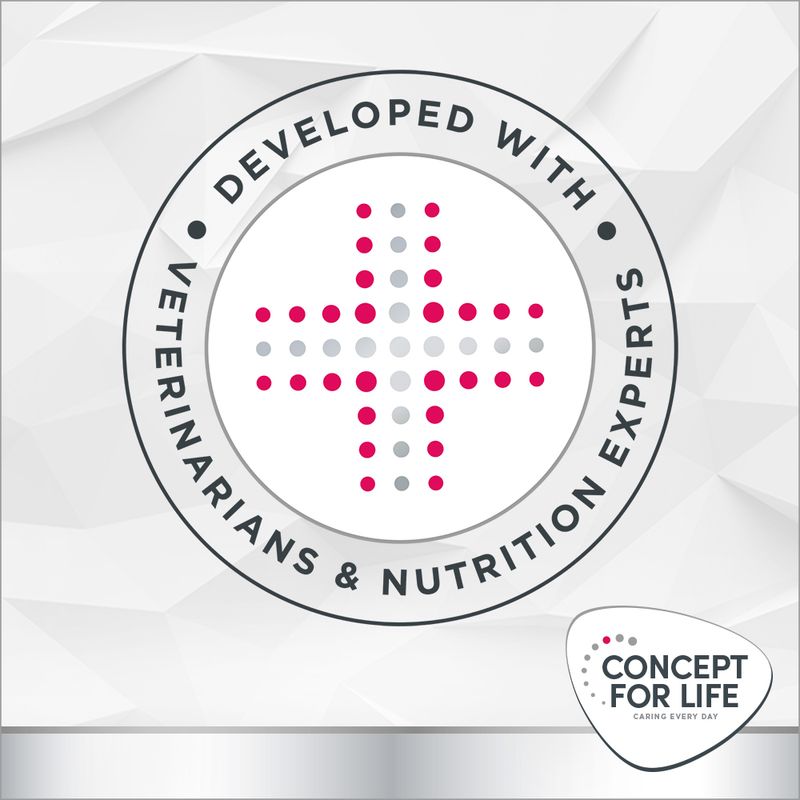 Concept for Life Veterinary Diet Renal Chicken 6 x 200g