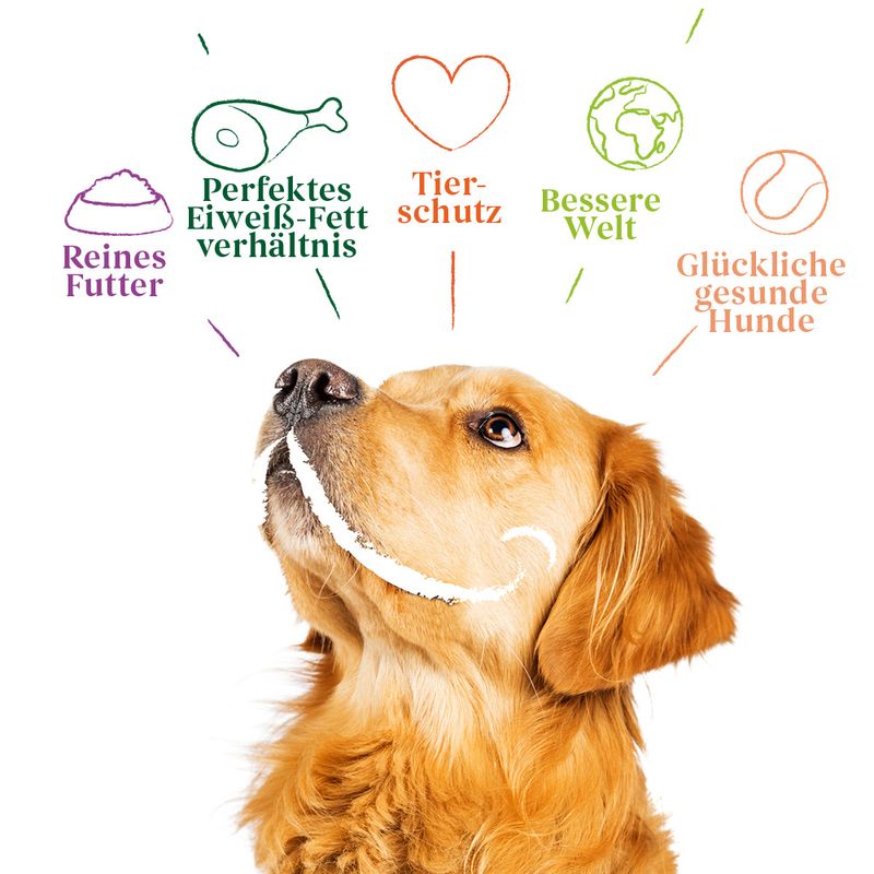 Yarrah Organic Chicken Paté with Organic Spirulina & Organic Seaweed 6 x 400 g