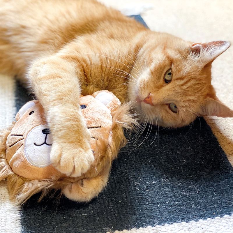 Aumüller Cat Play Pillow Leo Lion 1 piece