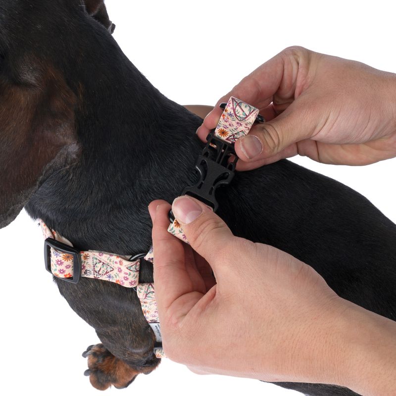 Harry Potter Deathly Hallows Harness - Beige Size S: Chest Circumference 39 - 51 cm