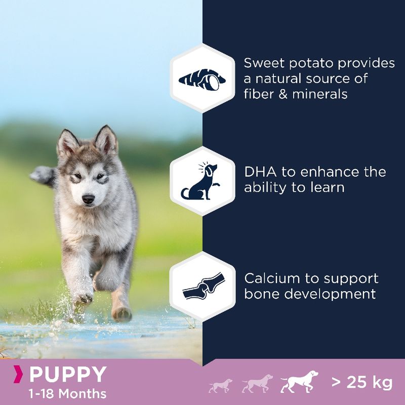 Eukanuba Grain Free Puppy Large Breed - Lamb 12kg