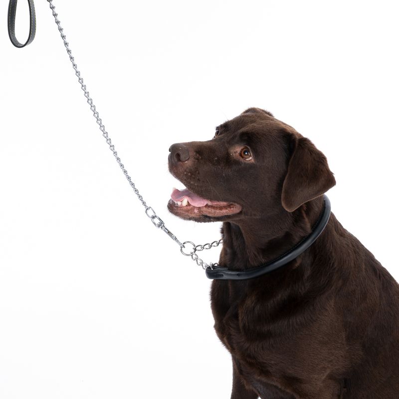 TIAKI Chain Dog Collar approx. 45cm Neck Circumference
