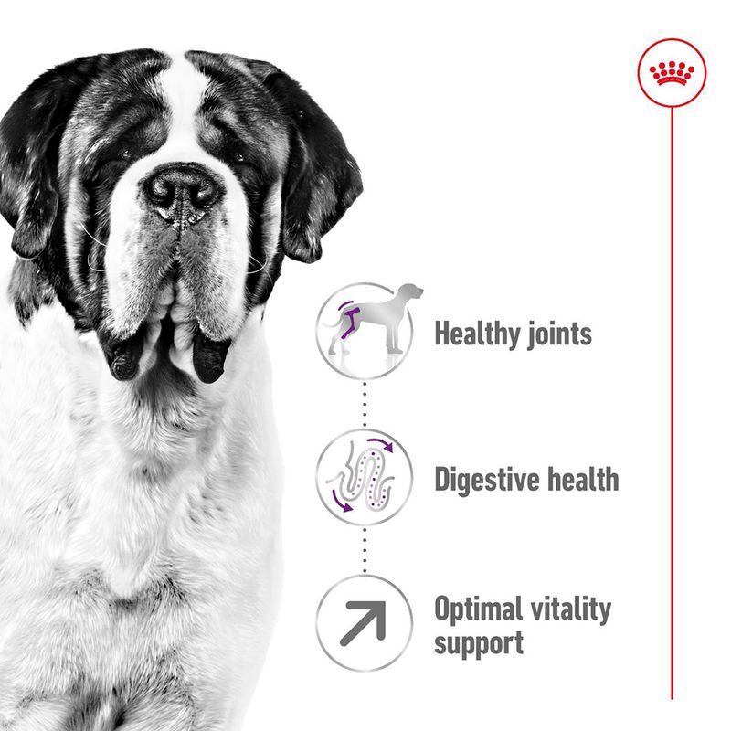 Royal Canin Giant Adult 15kg