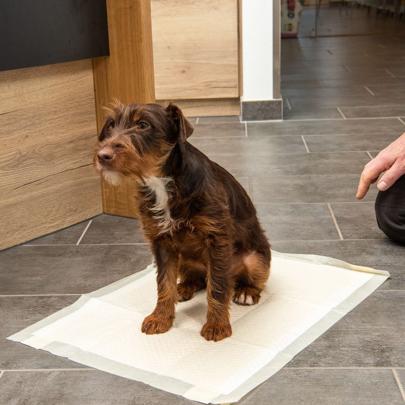 kooa Puppy Training Pads with Bamboo Medium: 45 x 30cm (L x W), 30 Pads