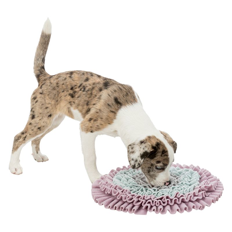 Trixie Junior Sniff and Search Mat Diameter 32cm