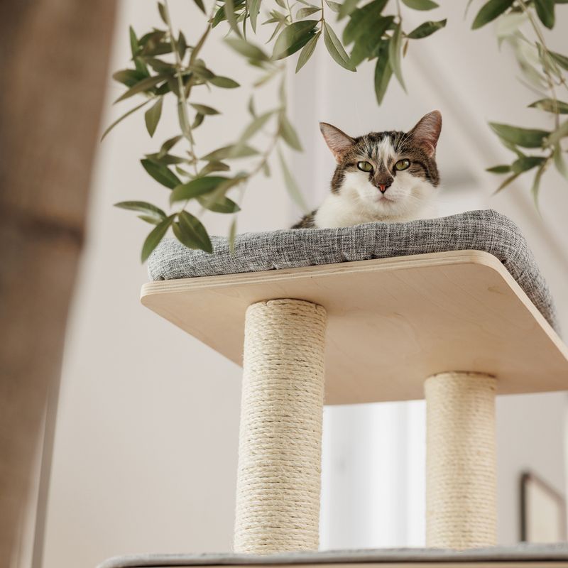 Modern Living Havana Scratching Tree Light-grey