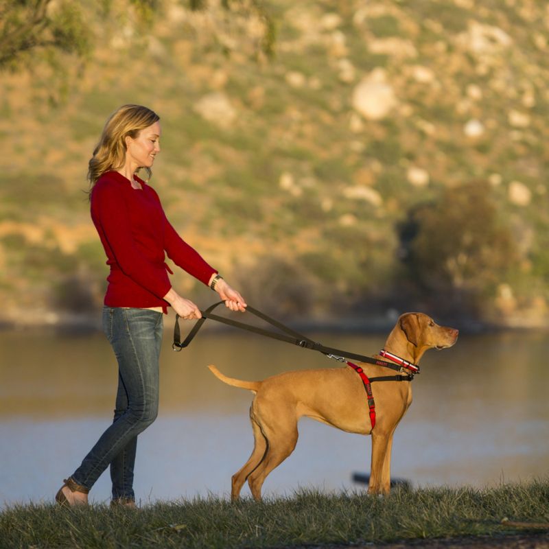 Halti Front Control Training Harness Size S: chest circumference 36 - 64cm