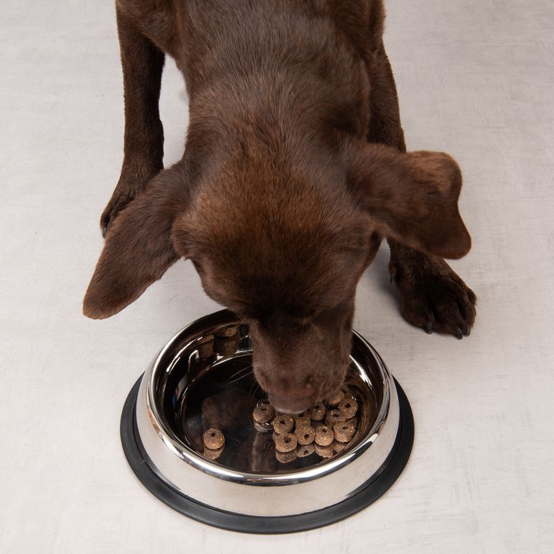 TIAKI Elemental Anti-Slip Stainless Steel Bowl 425ml, diameter 21cm