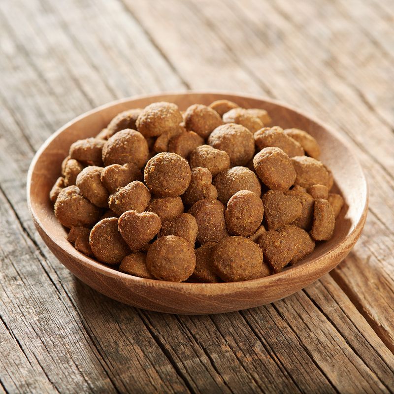 Feringa Adult Duo Chicken with Trout 400g