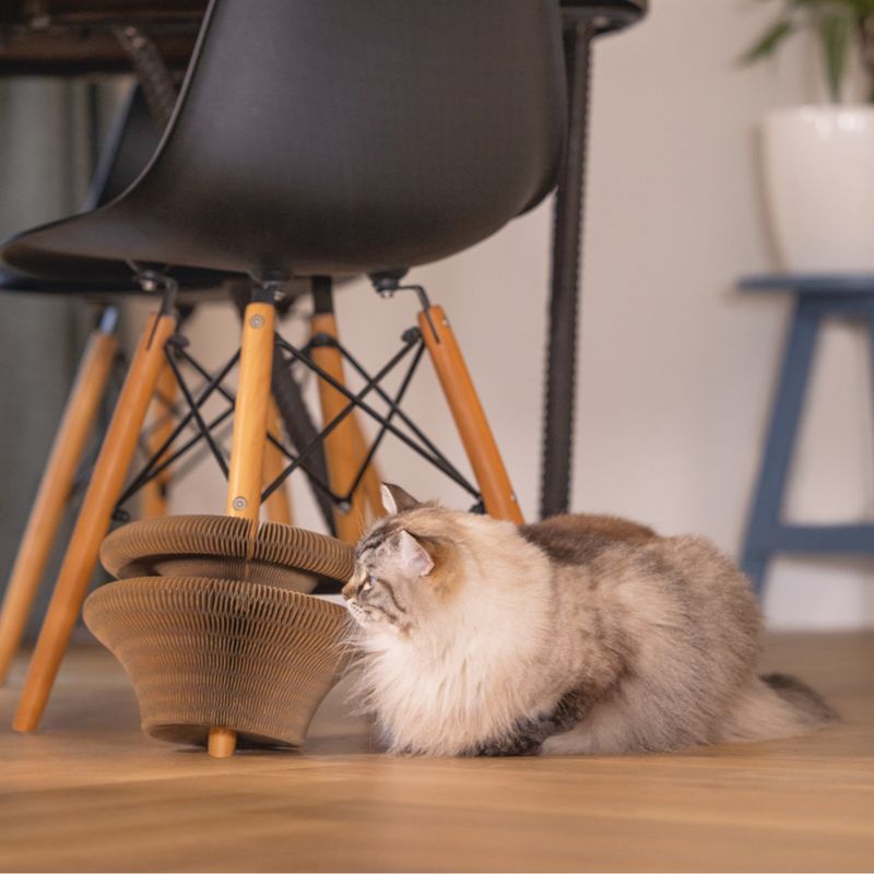 Beeztees Scratching Toy Siep 38 x 10cm (W x H)