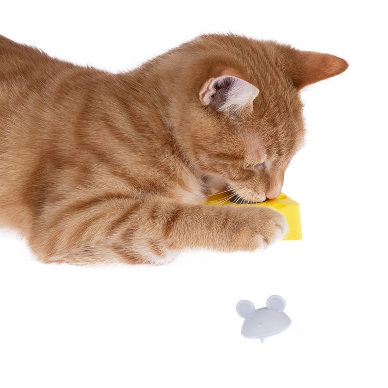 TIAKI cat toy catnip cheese 6.5 x 6.3 x 4.6 cm