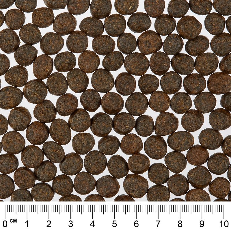 Greenwoods Salmon with Potatoes, Spinach & Cranberries 400g