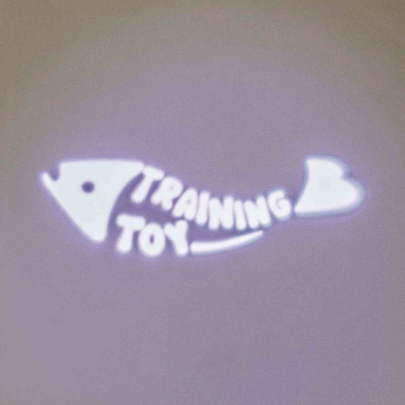 Trixie LED Pointer Catch the Light 1 Toy