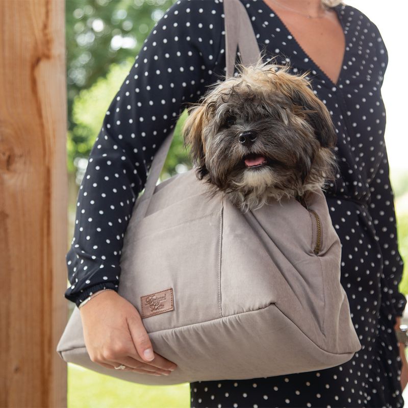 Designed by Lotte Bundu Dog Carrier Bag Beige (up to 7kg)