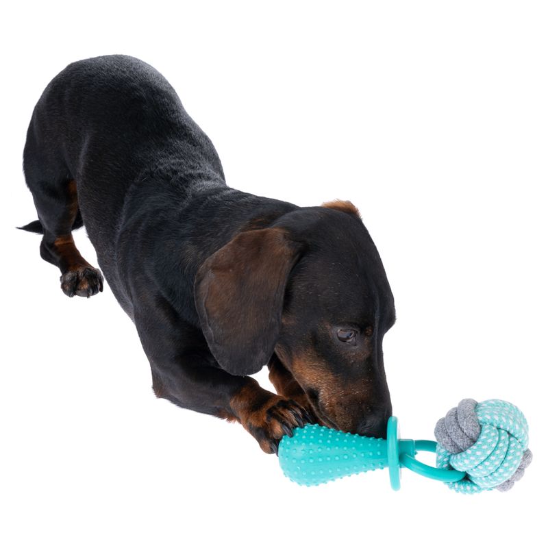 TIAKI Rope Ball Chew Toy with Dummy diameter 7 x (L) 19 cm