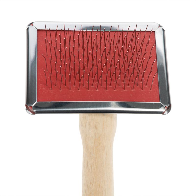 Soft Brush and Brush Cleaner 12 x 5.5cm (L x W)