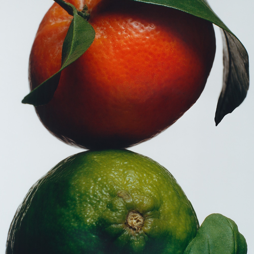 Lime Basil & Mandarin Refill