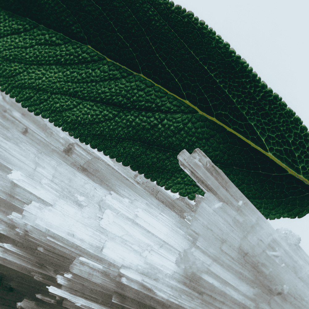 Special-Edition Wood Sage & Sea Salt Cologne