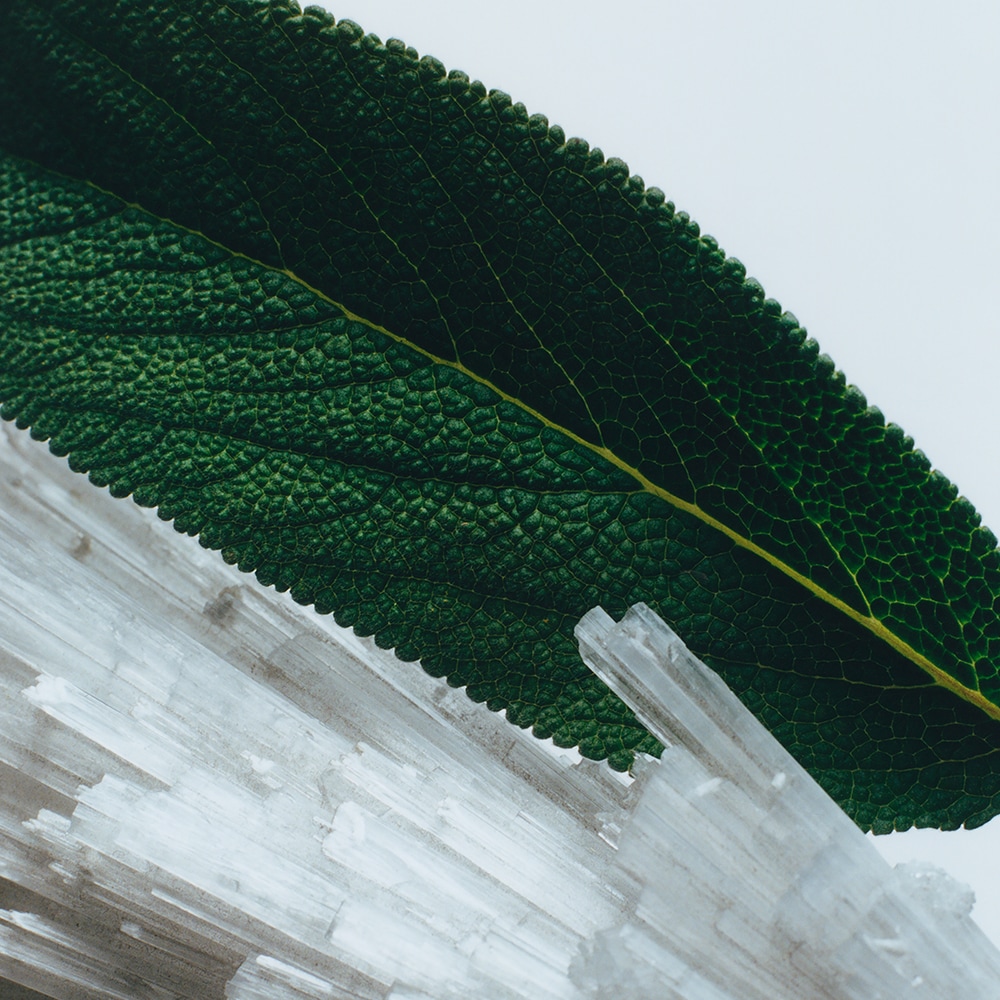 Wood Sage & Sea Salt Body Mist