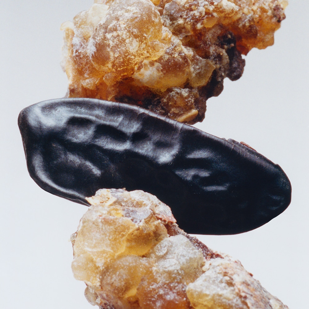 Myrrh & Tonka Gift Set