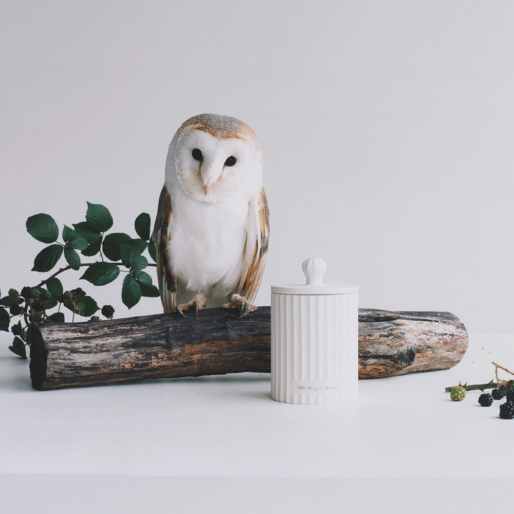 Wild Berry & Bramble Townhouse Candle