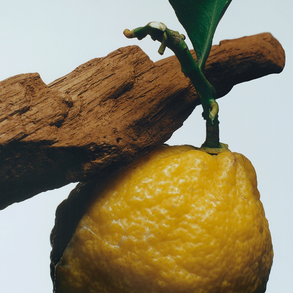 Oud & Bergamot Gift Set