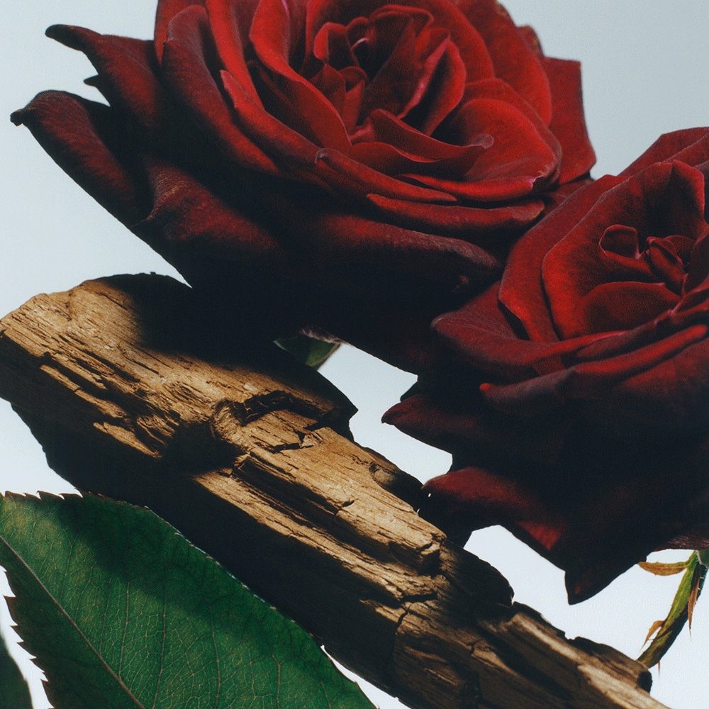 Decadent Floral Gift Set