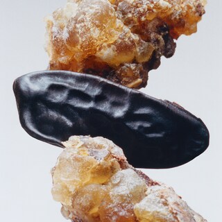 Myrrh & Tonka Body & Hand Wash