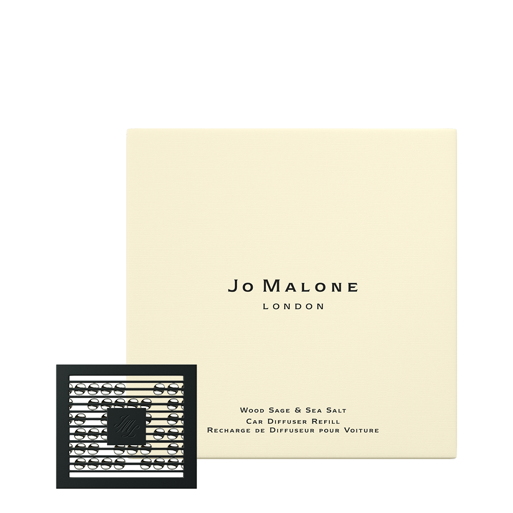 Wood Sage & Sea Salt Car Diffuser Set