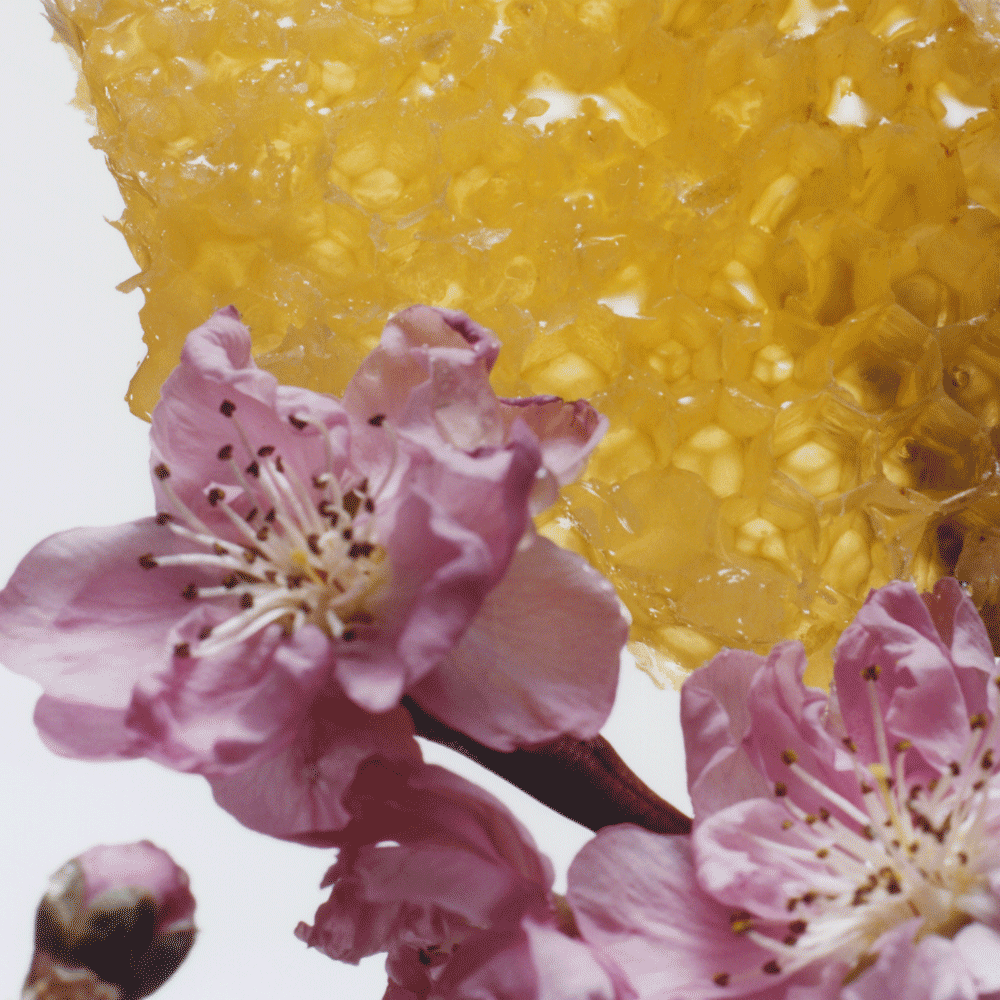 Nectarine Blossom & Honey Scented Candle