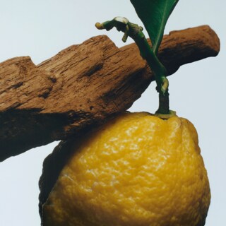 Oud & Bergamot Scented Candle