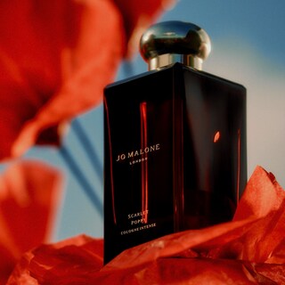 Scarlet Poppy Cologne Intense