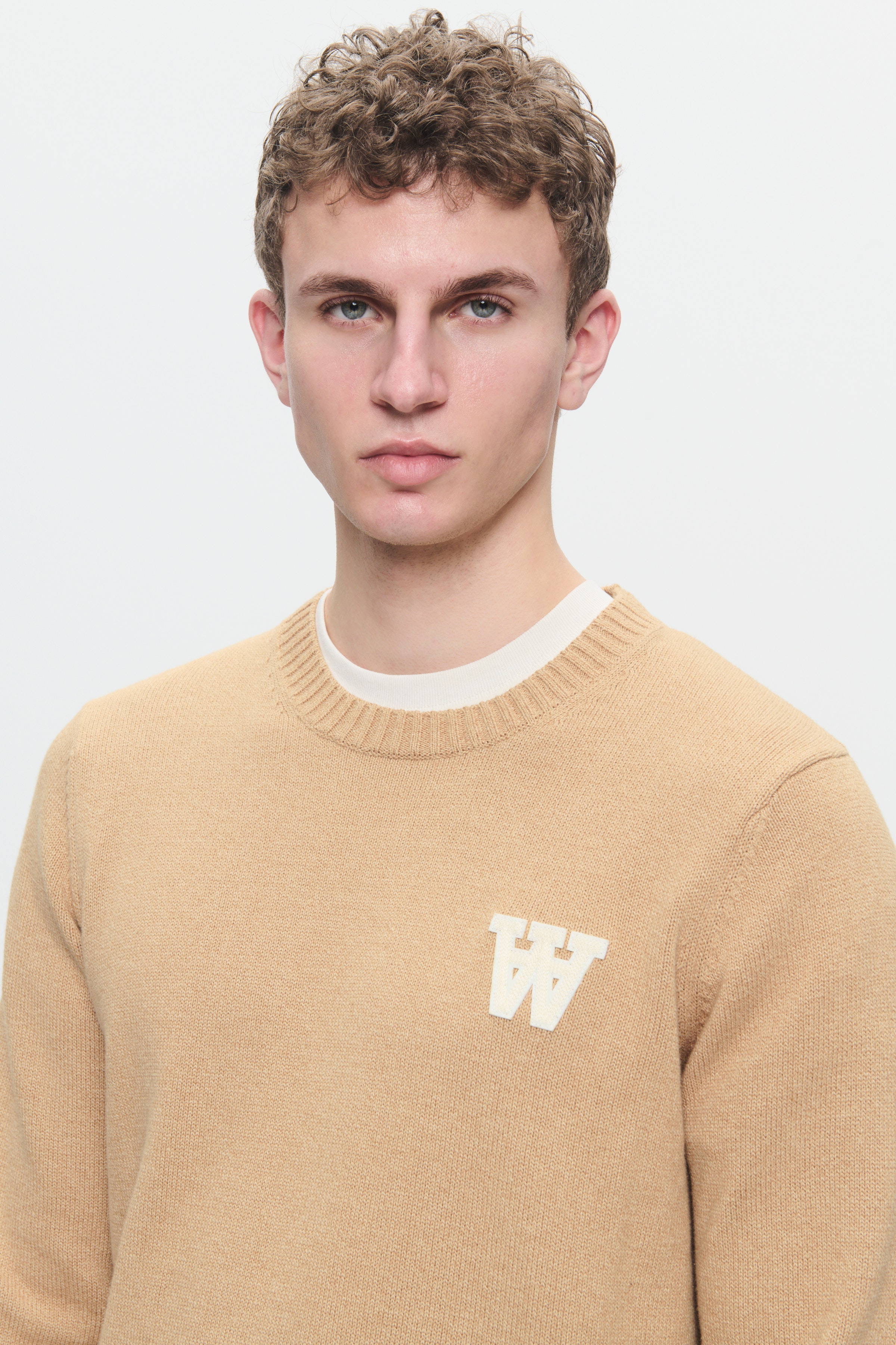 DOUBLE A BY W.W. MEN WWTay Pullover