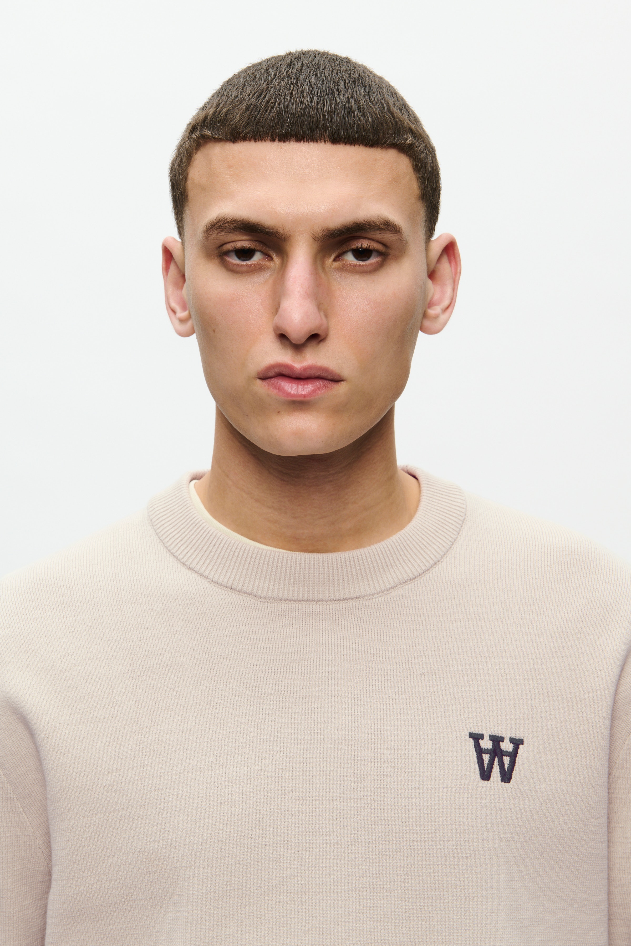 DOUBLE A BY W.W. MEN WWCurt Pullover