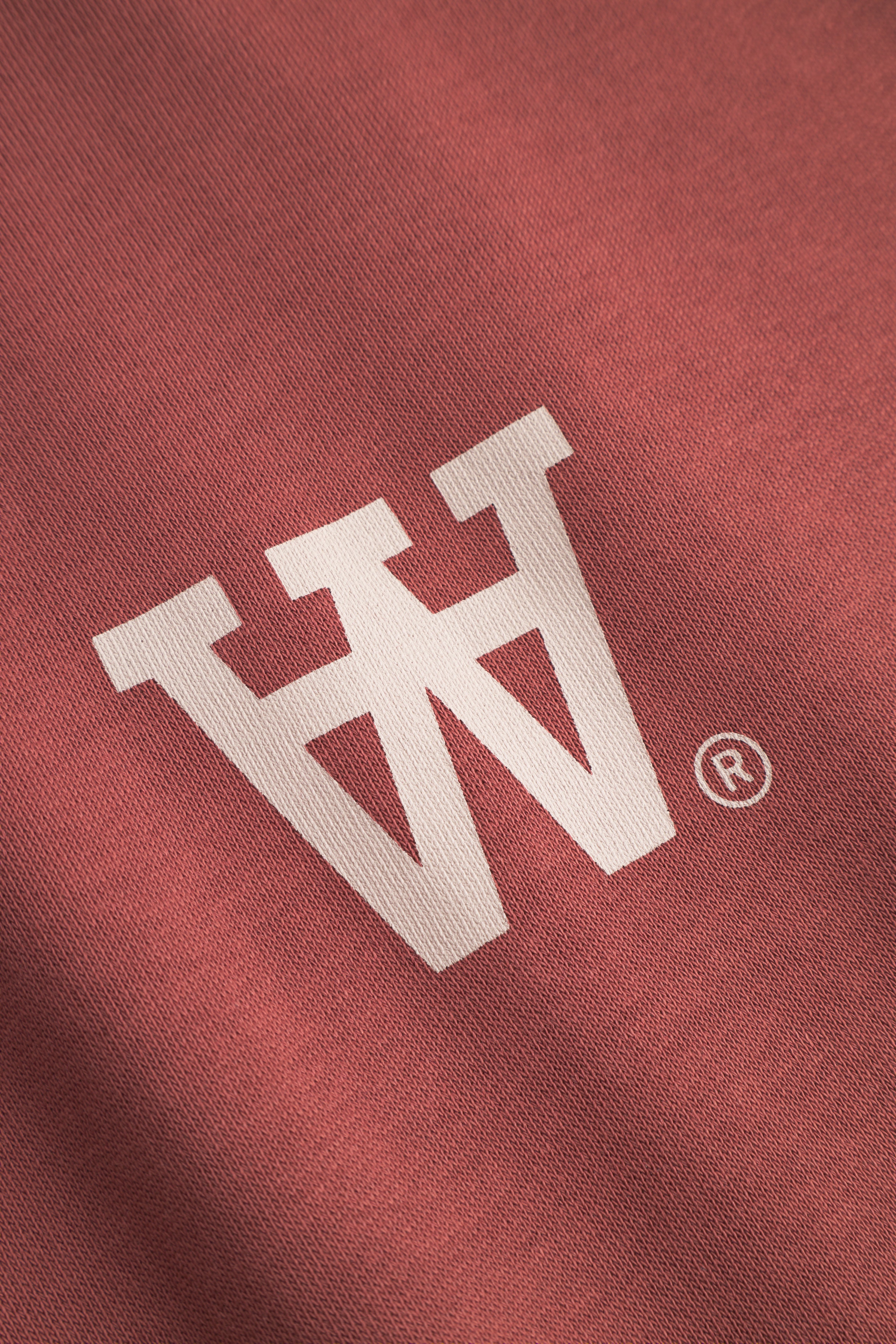 DOUBLE A BY W.W. MEN WWCass AA Chest Print Hoodie