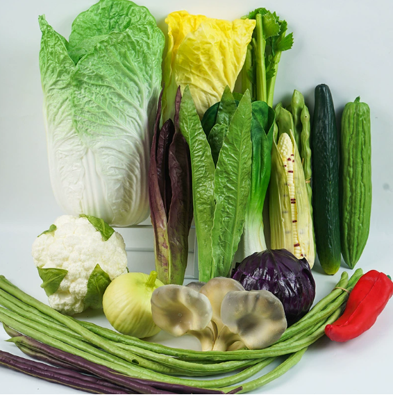 Simulated vegetable prop model, shooting prop, for display purposes, not real vegetables NO.2 Package