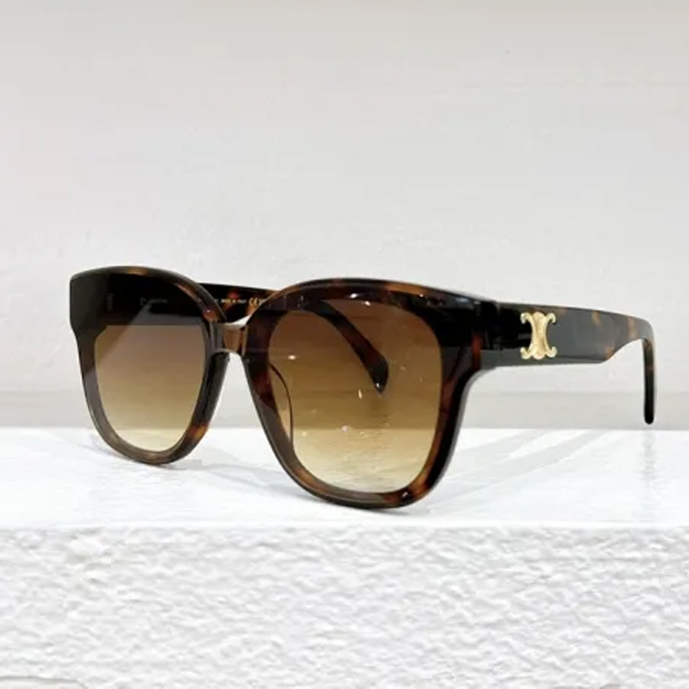 Celine Sunglasses CL42094U SM051