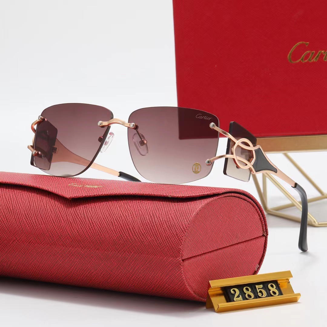 Cartier Sunglasses