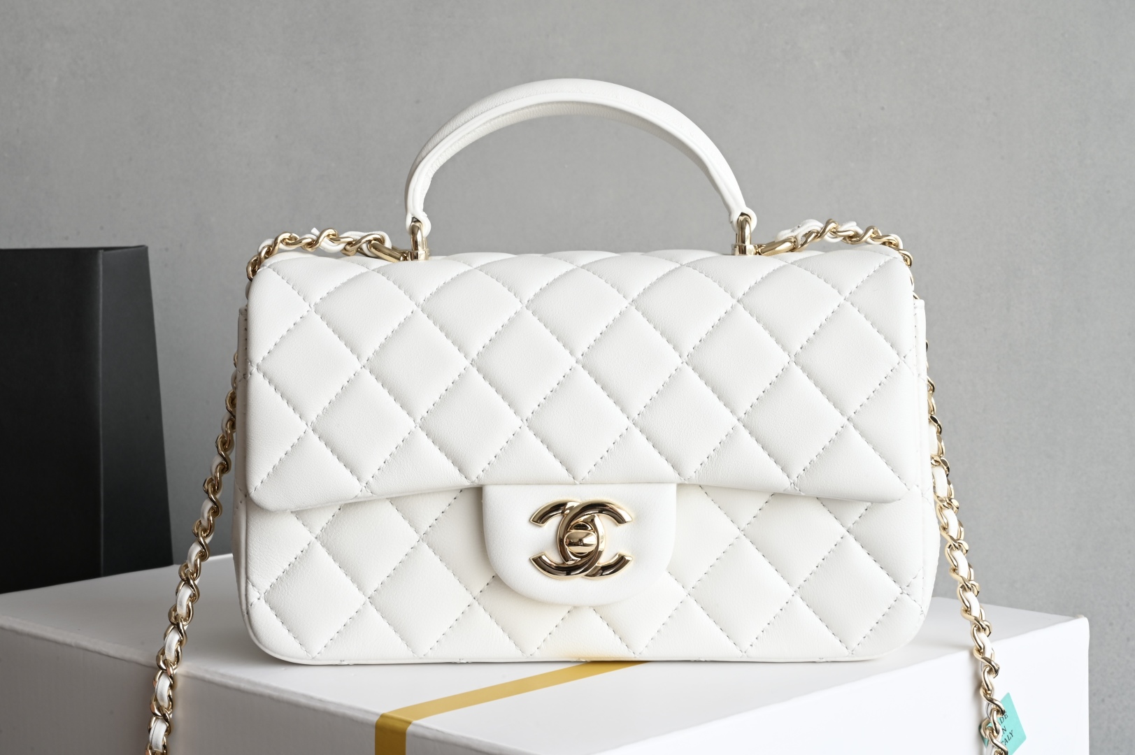 Chanel 25P Handbag
