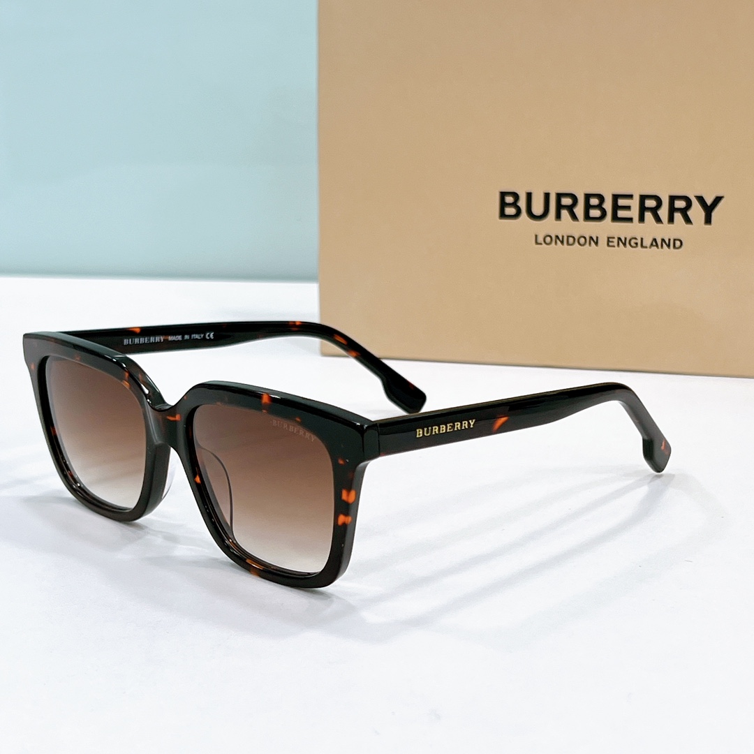 Burberry Sunglasses BE2370 SM021
