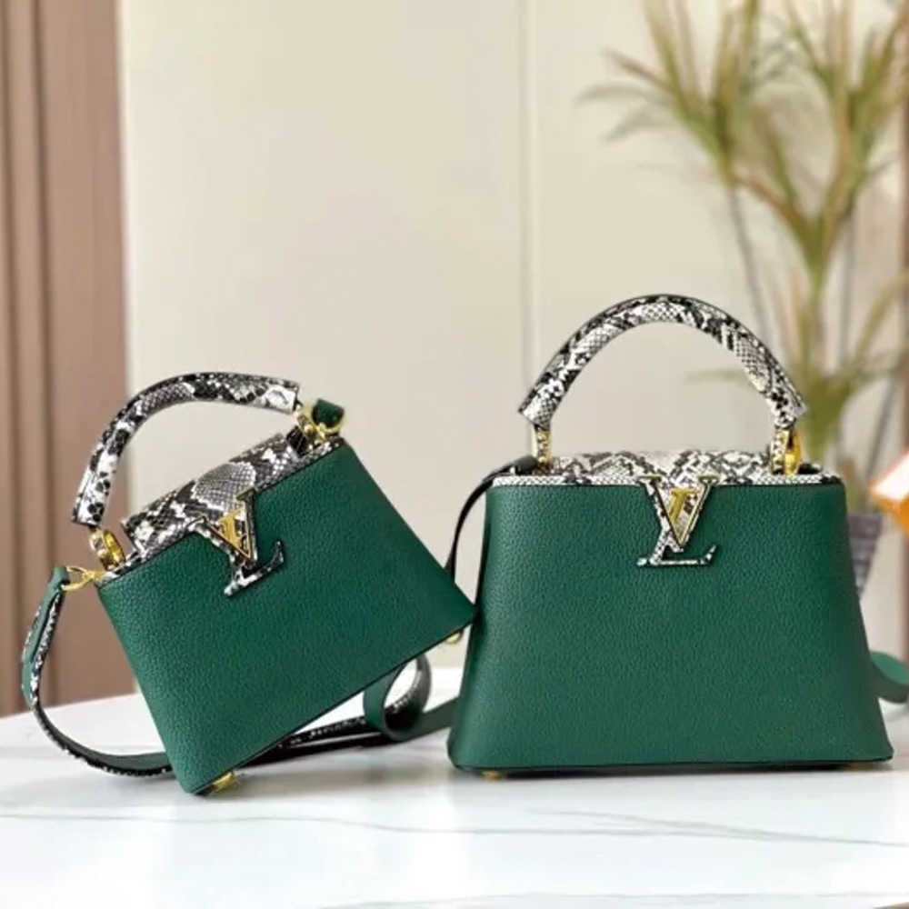 LV Capucines Bag M95508 M95509 LM012032 21-27cm