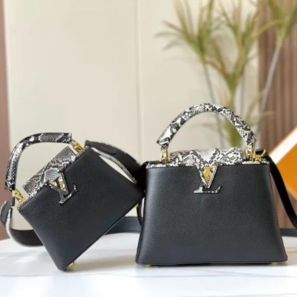 LV Capucines Bag M95508 M95509 LM012032 21-27cm