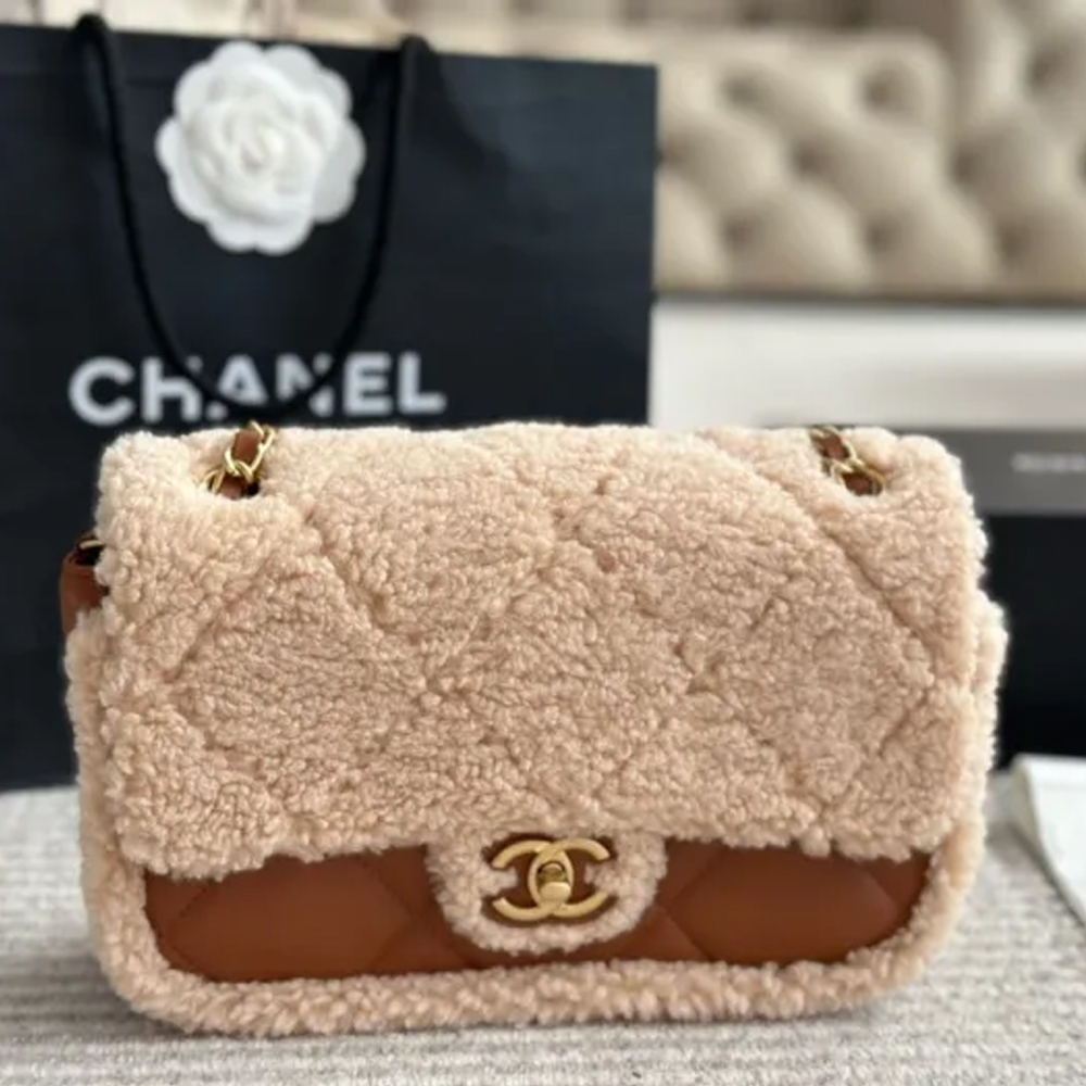 Chanel Classic Flap Bag 025 DB081 25cm