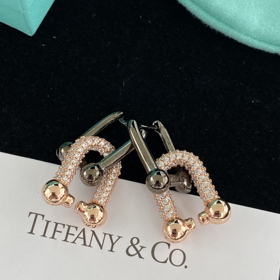 Tiffany HardWear Large Link Earrings