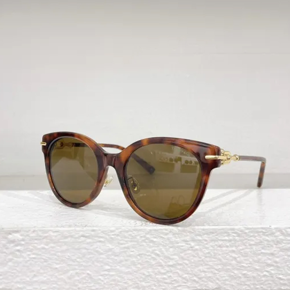 Tiffany & Co. Sunglasses TF4223 SM041