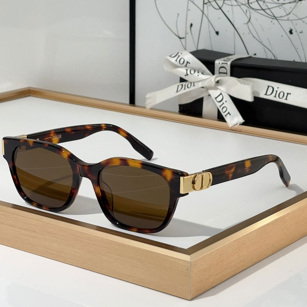 Dior Hinge Design Acetate Fibre sunglasses Top quality (Replica锛�