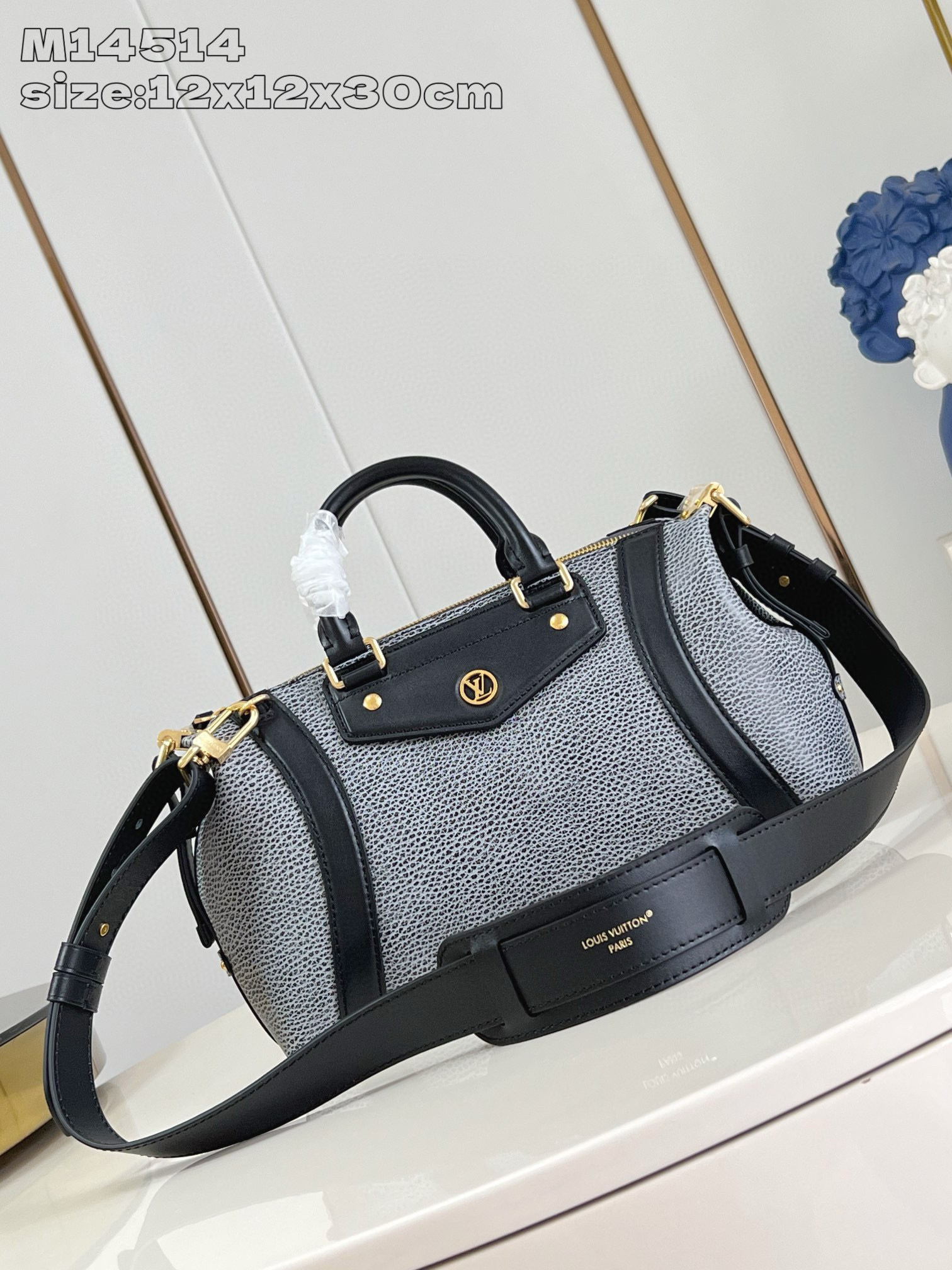 Louis Vuitton Biker Small Bag 2025SS(12A)