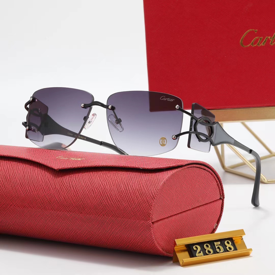 Cartier Sunglasses