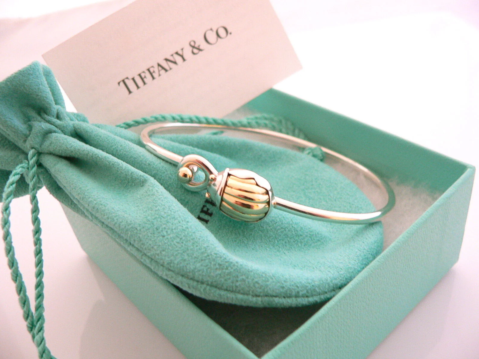 Tiffany & Co Bracelet Lucky Scarab Beetle Silver 18K Bangle Gift Pouch Love T Co